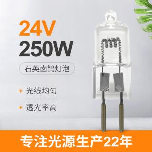 China Low Voltage Medical Light Bulb G6.35 24V 250 Watt Halogen Bulb Led Replacement on sale
