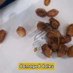Unlocking Efficiency Revolutionizing Palm Dates Sorting Machine with Cutting