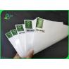 70g + 20g Woodfree Offest Paper PE Coated Greaseproof And Waterproof In Sheets for sale