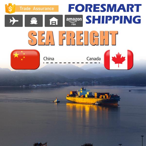 Cheap Ningbo China To Toronto Canada North America Freight for sale