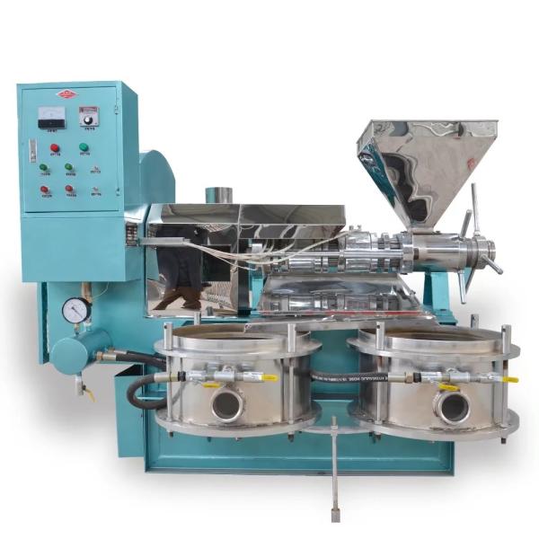 Cheap Oil Presser Pressing Machine Cold Press Oil Seeds Machine with Temperature Control for sale