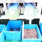 380V 7kW 8 Channels CE Endorsed Pecan Sorting Machine 1-2 Tons Output