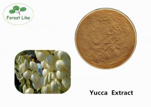 Best Odor Removing Pure Yucca Extract Powder 30% Sarsaponin Yellow Brown Powder wholesale