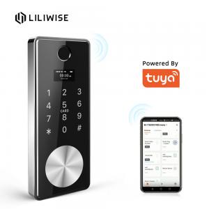 Best WiFi Fingerprint Door Lock Deadbolt Door Lock Security Tuya Smart Door Lock With Fingerprint wholesale