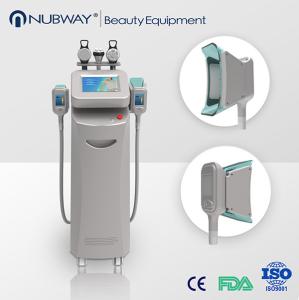 China Mini Cryolipolysis Machine/Lipolaser Cryolipolysis Machine on sale