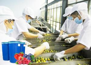 Best Energy Saving Complete Set of Blueberry Processing Machinery For Berry Juice Production Line wholesale
