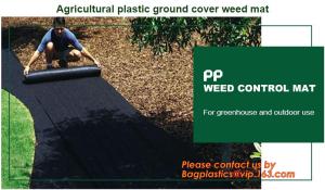 Supply heavy duty 100% virgin anti grass weed barrier/garden weed barrier cloth/agricultural ground cover mesh with UV r