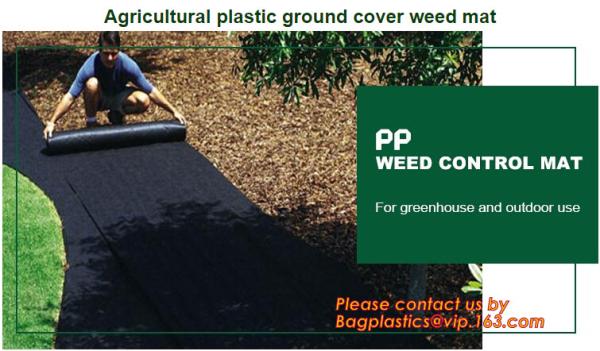 Cheap Supply heavy duty 100% virgin anti grass weed barrier/garden weed barrier cloth/agricultural ground cover mesh with UV r for sale
