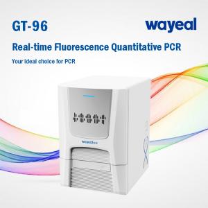China Wayeal Clinical Medical Real Time Pcr Analyzer For Nucleic Acids Testing on sale