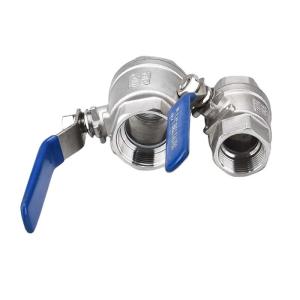 Best Stainless Steel 304 316 Ball Valve CF8M CF8 NPT BSPT Thread 1pc for Diaphragm Structure and Industrial Black wholesale
