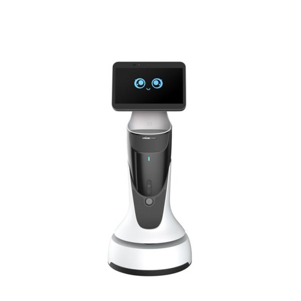 Cheap Hotel Welcome Mobile Service Robot Company Reception Remotely Controlled Robot for sale