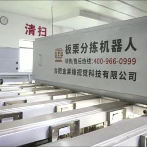 Best AI Powered High Accuracy Chestnut Sorting Machine with Capacity 2.3-3.3Tons/Hour : Smart Selection, Quality Leap wholesale