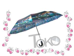 Best Compact Sun Auto Open Umbrella , Self Opening And Closing Umbrellas Solid Frame wholesale