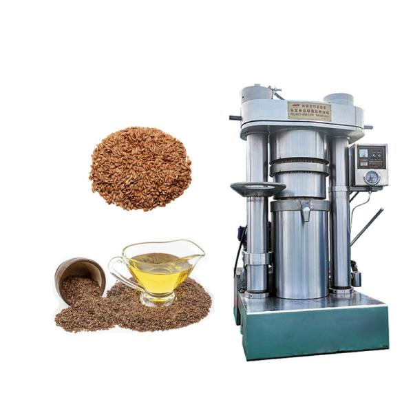 Cheap 750*1010*1640mm Hydraulic Oil Press Machine For Oil Production Capacity 13 Kg/ Batch for sale