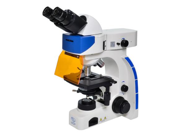 Cheap UOP Upright Fluorescence Microscope , High Resolution Fluorescence Microscopy for sale