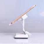 Stand Alone Smartphone Power And Alarm Security Display Stand