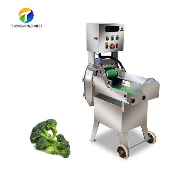 Cheap 1.25KW Celery Vegetable Processing Machine Leeks Micro Switch Single Head for sale