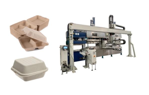 Cheap Sugarcane Bagasse Pulp Clamshell Container Production Line With Singlel Robot Arm for sale