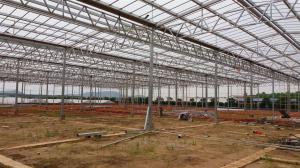China Hot Galvanized Steel Frame Solar Panel Power System , Strawberry Solar Power Energy System on sale