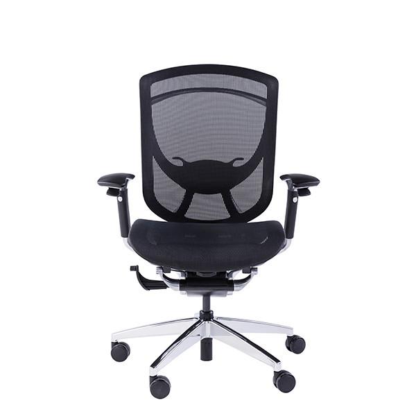 Cheap IFIT Black Ergonomic Desk Chair With Lumbar Support Adjustable Tilting for sale