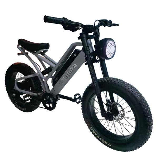 Cheap Electronic Fat Tyres Electric Bike 20 Inch Fat Tire 500w Ebike 48v With Smart Type for sale