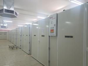 20000 Incubator Chicken Egg Hatching Machine