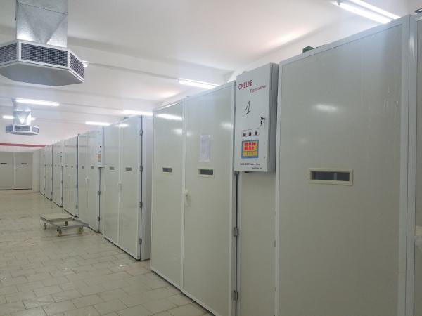 Cheap 20000 Incubator Chicken Egg Hatching Machine for sale