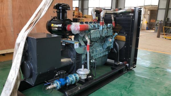 Cheap 200kw Natural Gas Generator Easy Operate and Well Working for Intake Pressure Impulse for sale