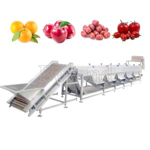 China Automatic Mango Washing Waxing Grading Machine For Fruit Processing on sale