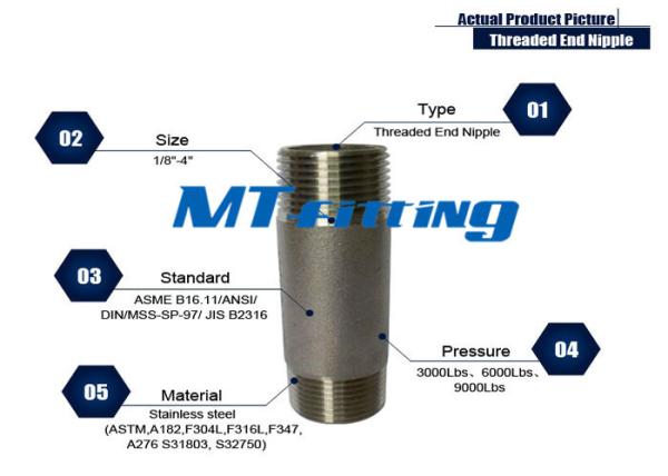 Cheap ASTM A106 F317L Forged High Pressure Stainless Steel Pipe Fittings / Threaded Pipe Nipple for sale