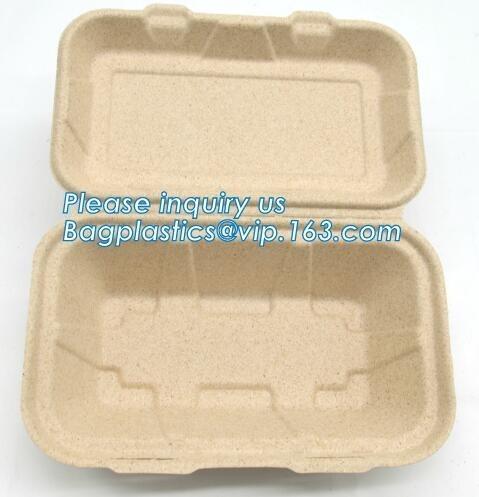 Cheap Compostable Dinnerware Corn Starch Biodegradable Meat / Cake / Rectangular Tray for sale