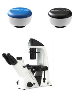 Best BDS400 Digital Infinity Inverted Biological Microscope CMOS 3MP 5MP wholesale