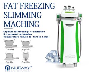 China 5 In 1 Cryolipolysis Weight Loss Machine/Lipo Laser Fat Freezing Machine/Cavitation RF on sale
