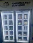 Customized Graphics Vending Machine For Eggs Operating On Android 11