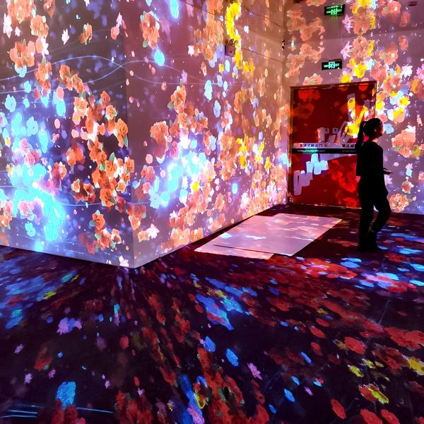 Cheap Projection Screen System Holographic Immersive Dynamic Digital Art for sale