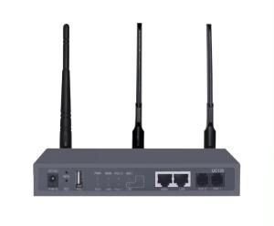 Gateway , Offering Diverse Connectivity To All Networks Like Fxo (co), And Voip/sip