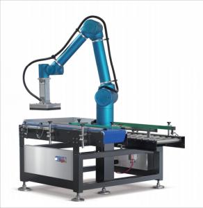 Revolutionize Your Packaging Process with Advanced Robots Automation Integration by Robot carton packer
