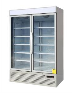 Best Commercial Reach In Freezer Double Glass Door With Secop Compressor for Ice Cream Display wholesale