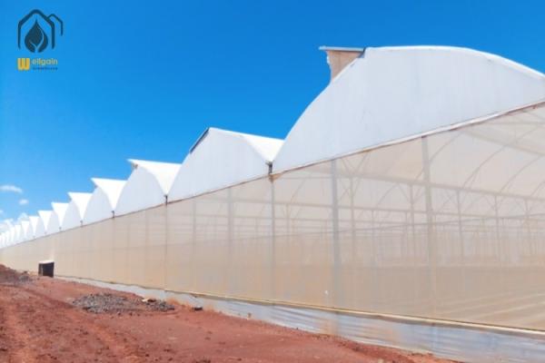 Cheap Energy Efficient Tropical Multispan Greenhouse With Temperature And Humidity Regulation for sale