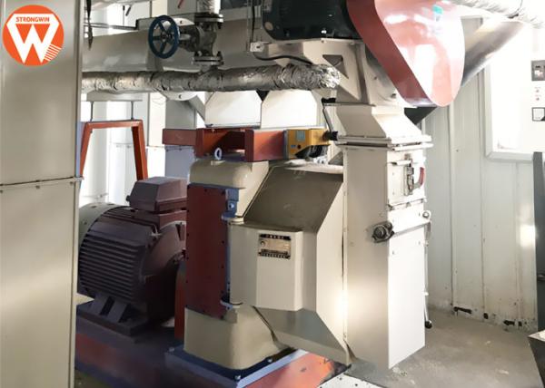 Cheap Large Capacity Animal Feed Production Line For Chicken Pig Sheep Low Noise for sale