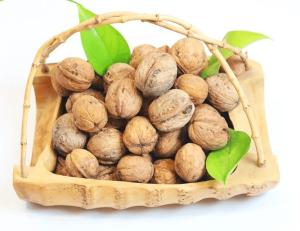 China Walnut wholesale price paper shell walnut thin shell Xinjiang walnut washed 185 walnut on sale
