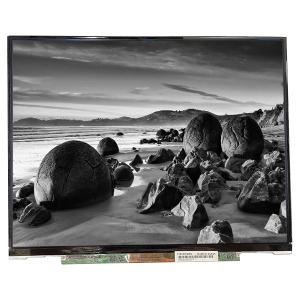 LTD121EDDX 60Hz TFT LCD display for Laptop