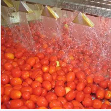Cheap Automatic Tomato Paste Processing Line High Speed for sale