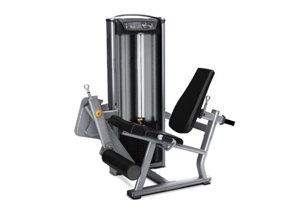 Cheap Seated Matrix Leg Extension Machine With Customized Weight Stack for sale
