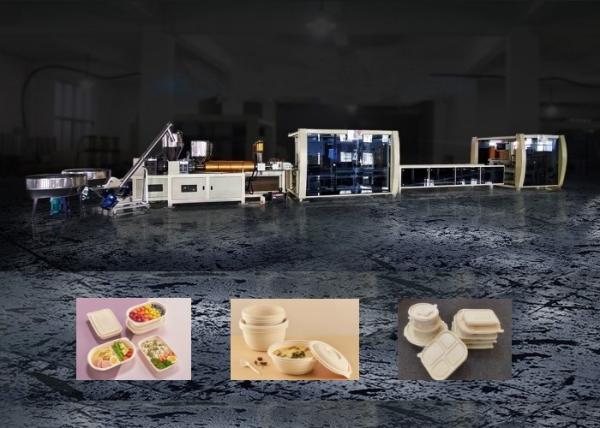 Cheap Disposable Fast Food Container Machine Equipment 60 Mode Min for sale