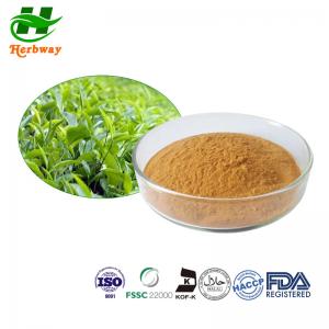Best CAS 989-51-5 EGCG Camellia Sinensis Leaf Powder 50% Polyphenols 98% wholesale