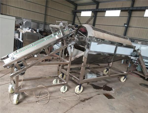 Cheap fresh cocoa pod removing machine, cocoa bean collecting machine for sale