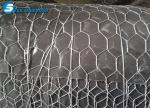 Hexagonal Wire Mesh/Hexagonal Wire Netting/Gabion Mesh
