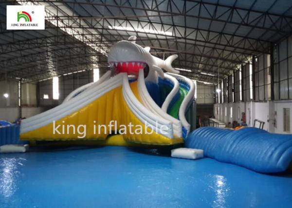 Cheap Giant Cartoon Inflatable Swimming Pool With Two Side Slide Double Sewing for sale