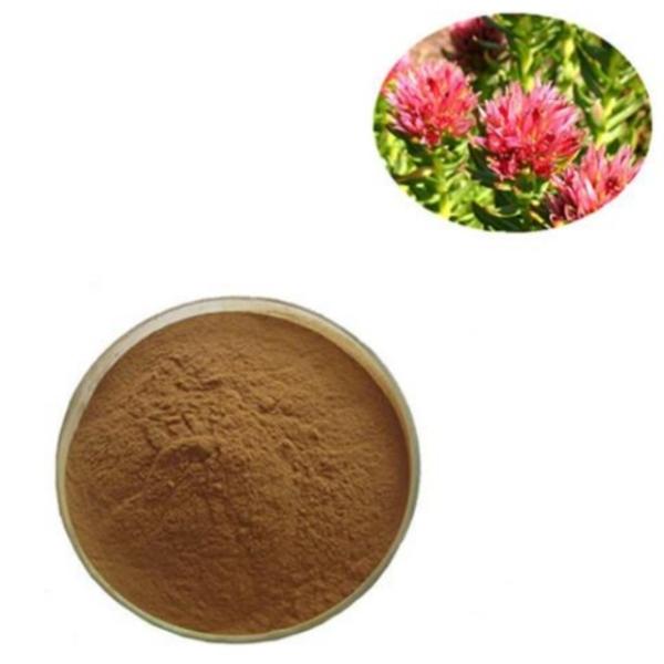 Cheap Rhodiola Rosea PE Plant Extracted Powder Chinese Medicine for sale